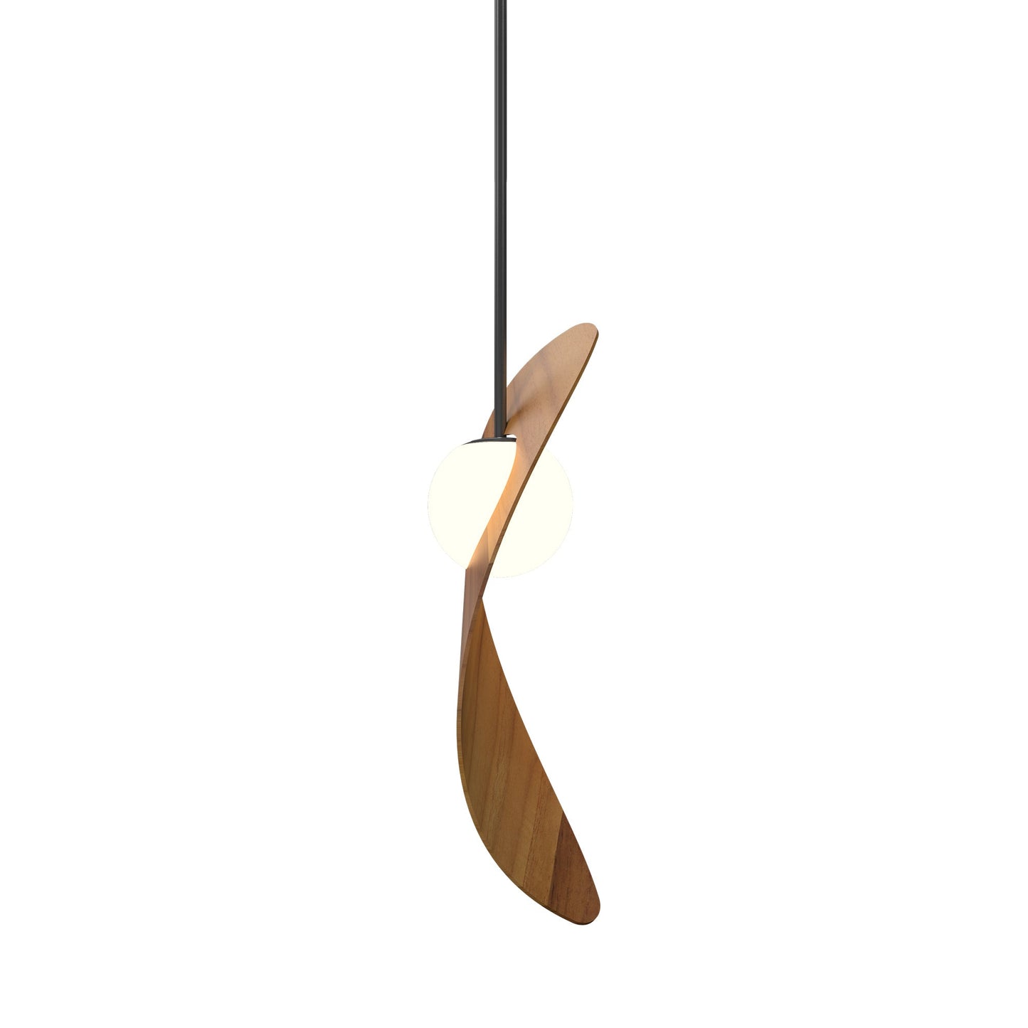 Oyster 1511 Pendant Light in Teak.