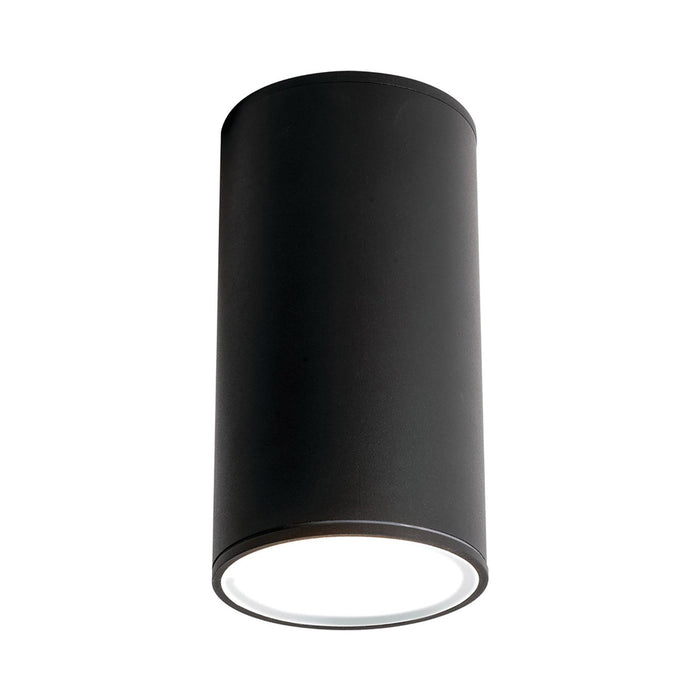 Everly Outdoor LED Flush Mount Ceiling Light in Black (Large).