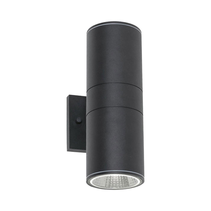Everly Outdoor LED Wall Light in Black (Large).