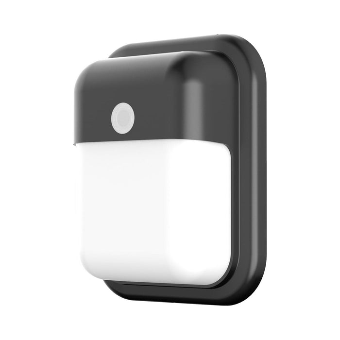 Patton Outdoor LED Wall Light in Black.