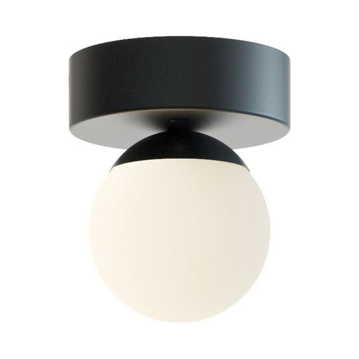 Pearl LED Flush Mount Ceiling Light in Black.