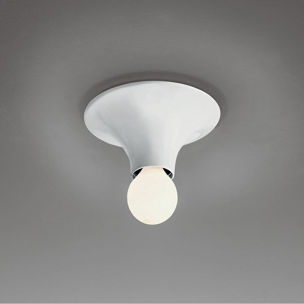 Teti Ceiling/Wall Light in White.