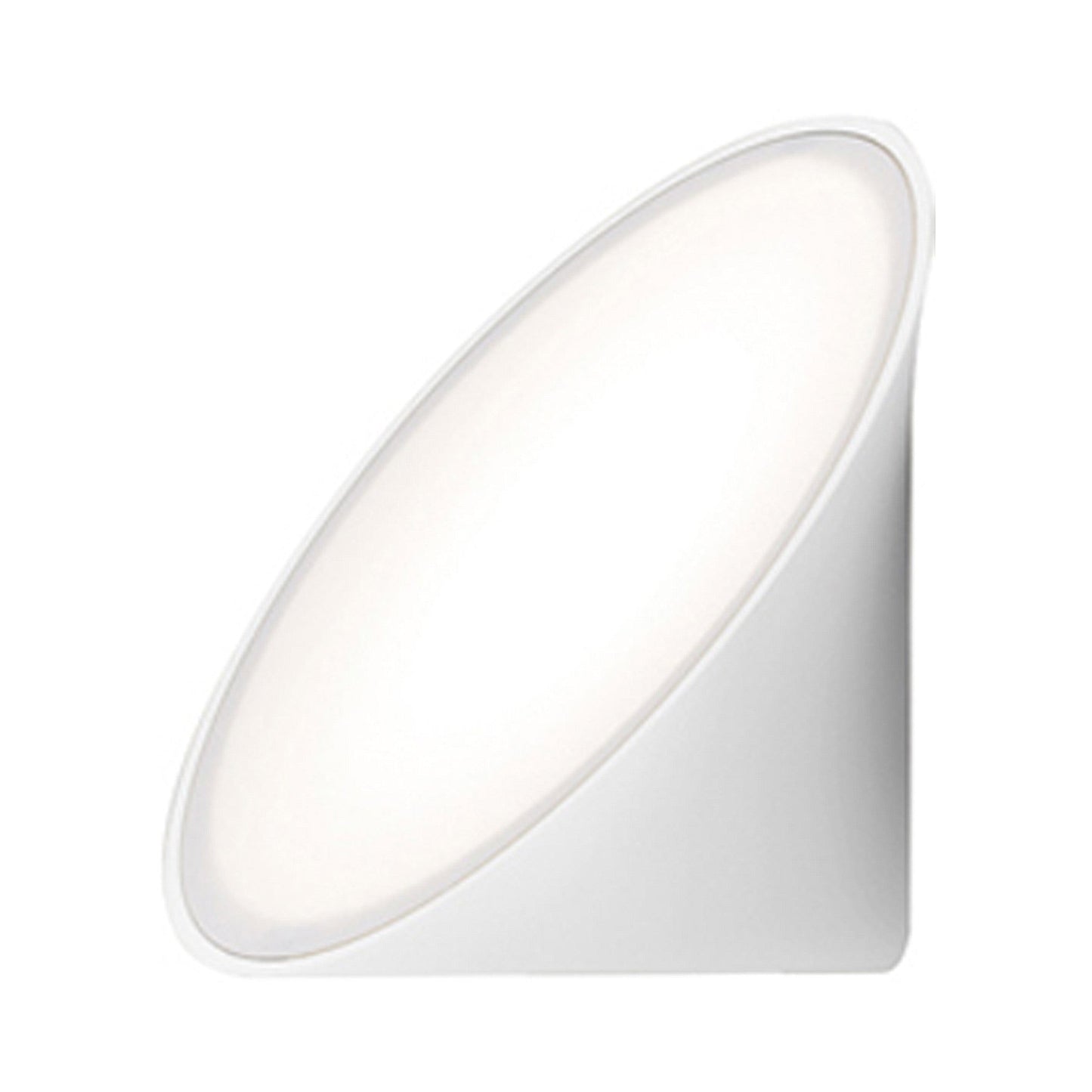 Orchid LED Ceiling / Wall Light in White.