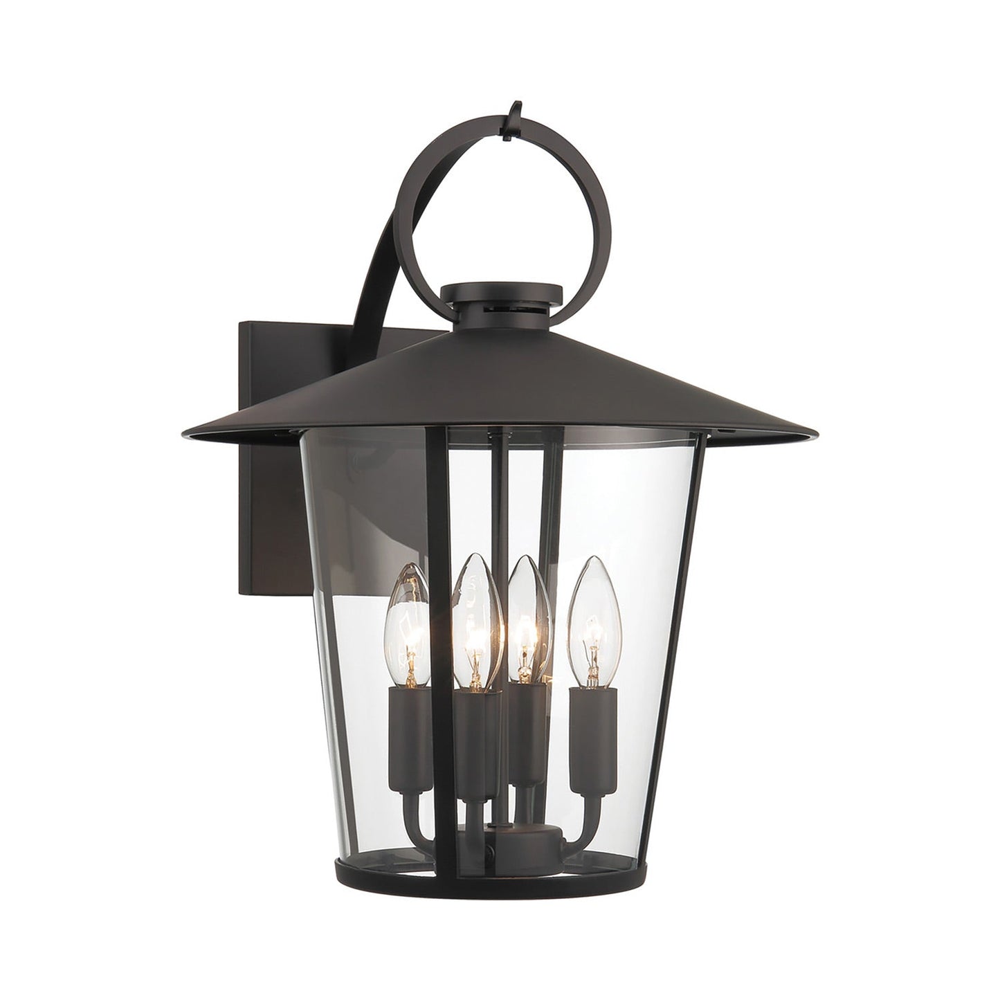 Andover Outdoor Wall Light (4-Light/Clear).