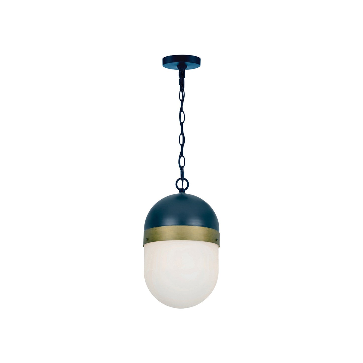 Capsule Outdoor Pendant Light (Medium).