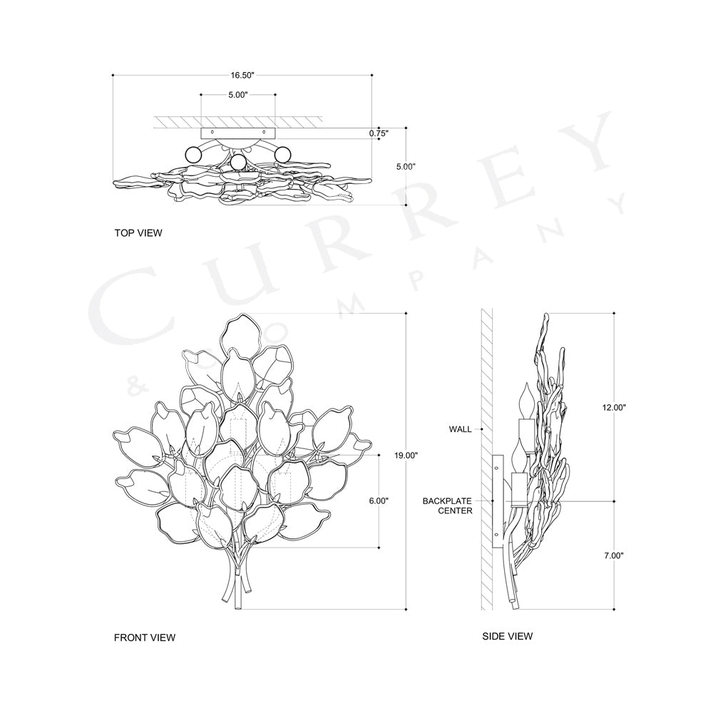 Baobab Wall Light - line drawing.
