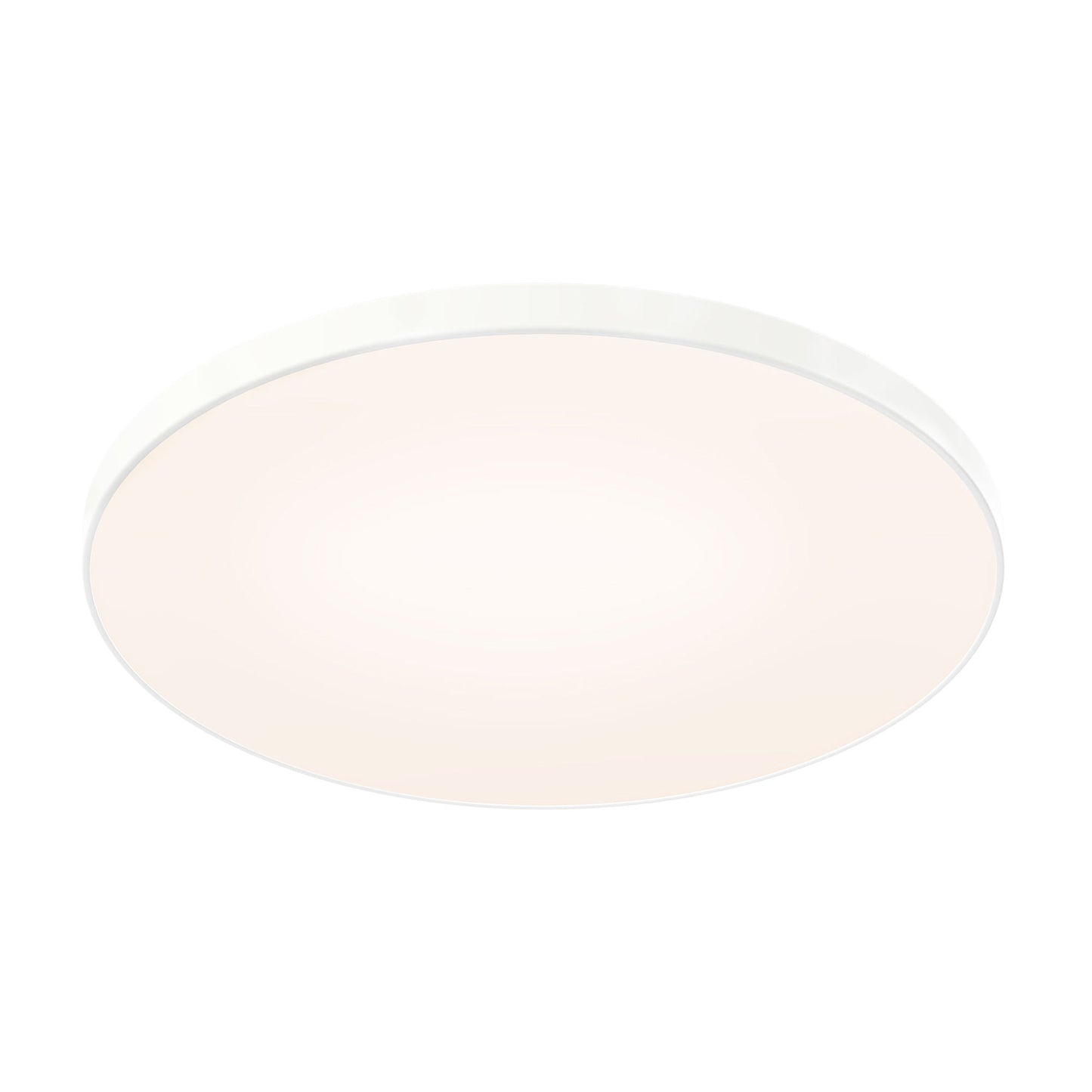 Fusion LED Flush Mount Ceiling Light (21-Inch).