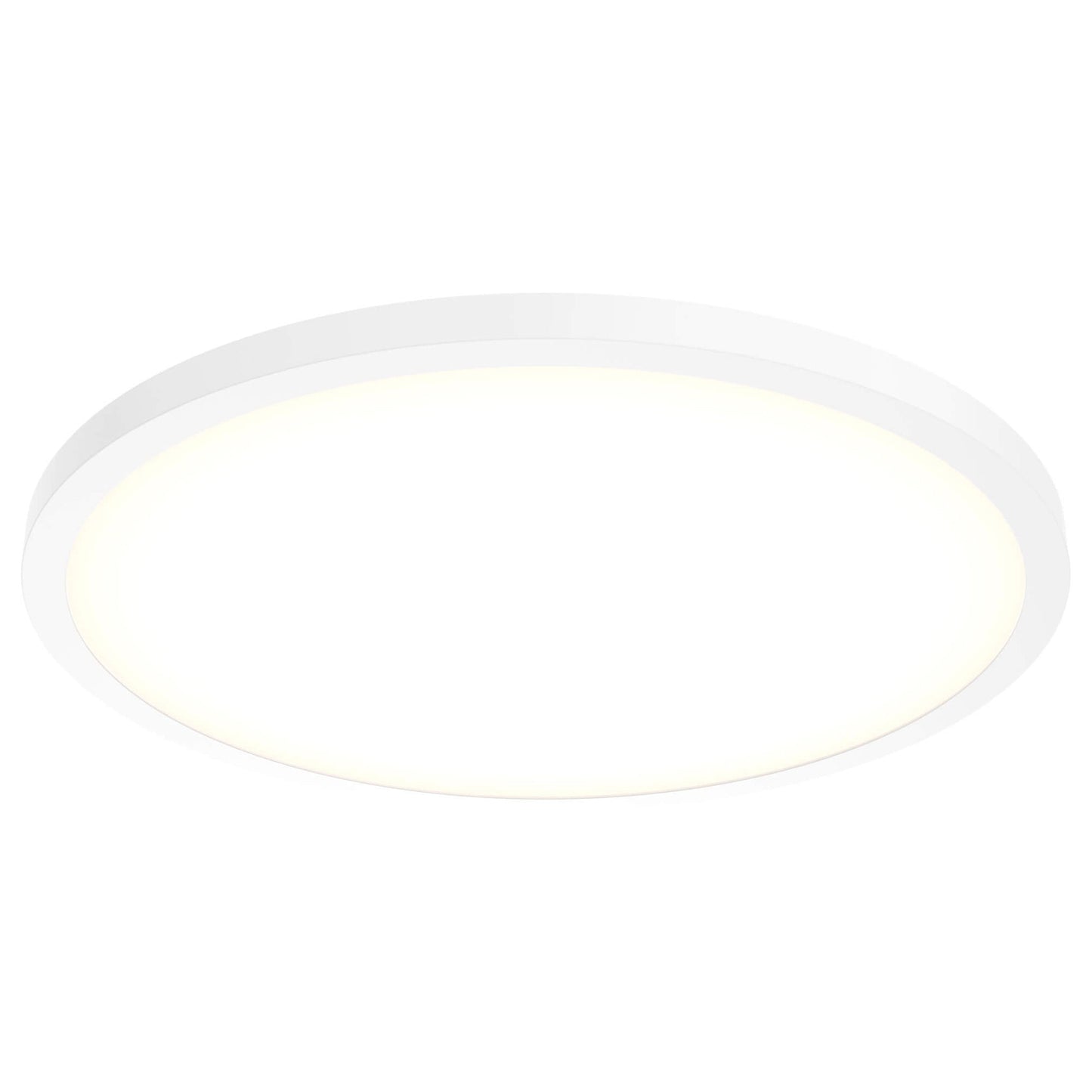 Delta Round Indoor/Outdoor LED Flush Mount Ceiling Light in White (24-Inch).