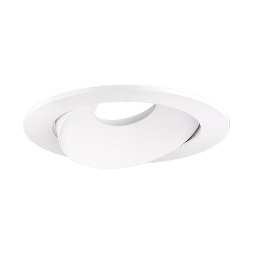 Pex™ 4" Round Directional Gimbal in White.