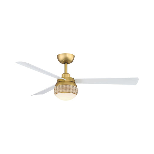 Paget Indoor / Outdoor LED Ceiling Fan.