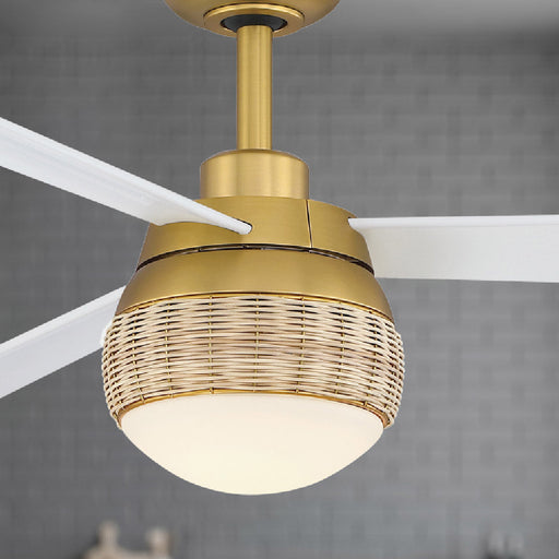 Paget Indoor / Outdoor LED Ceiling Fan in Detail.