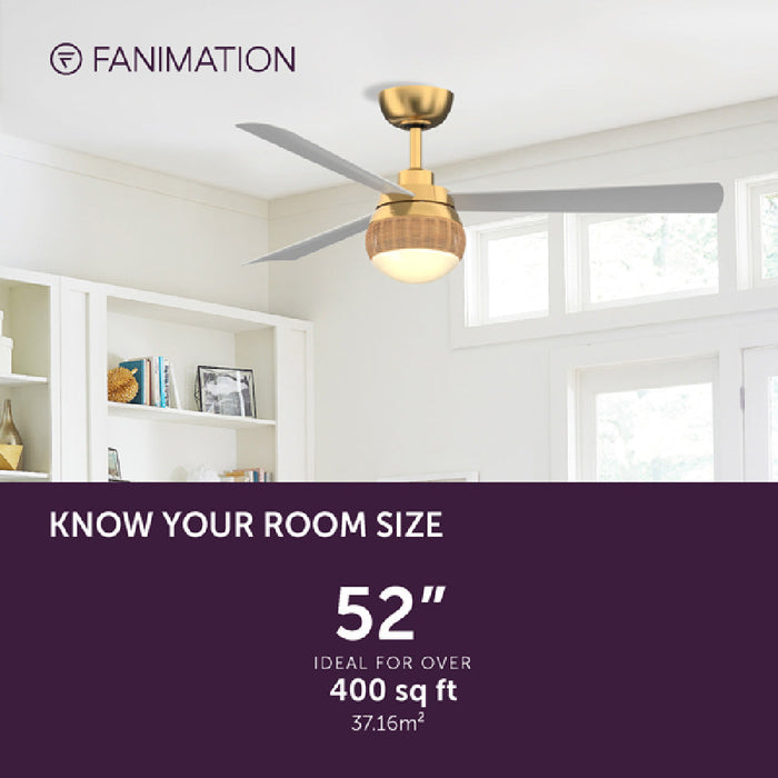 Paget Indoor / Outdoor LED Ceiling Fan in Detail.