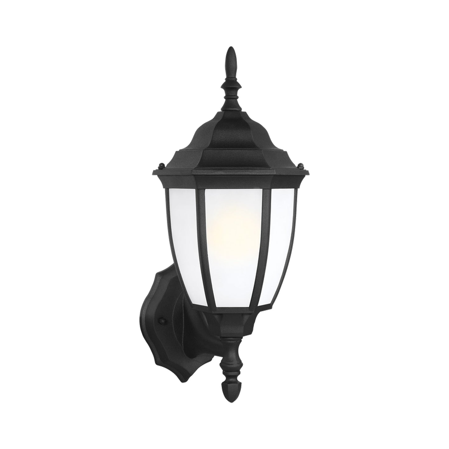 Bakersville Outdoor Oval Glass Wall Light in Black (Satin Etched ).
