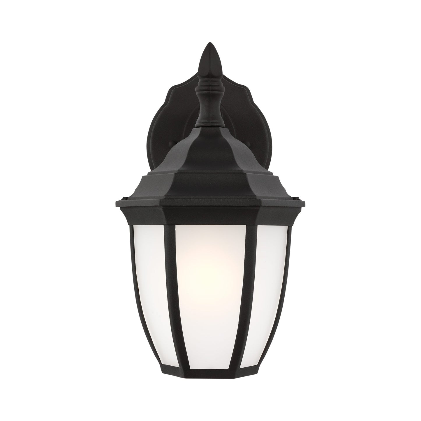 Bakersville Outdoor Oval Wall Light in Black (Satin Etched ).