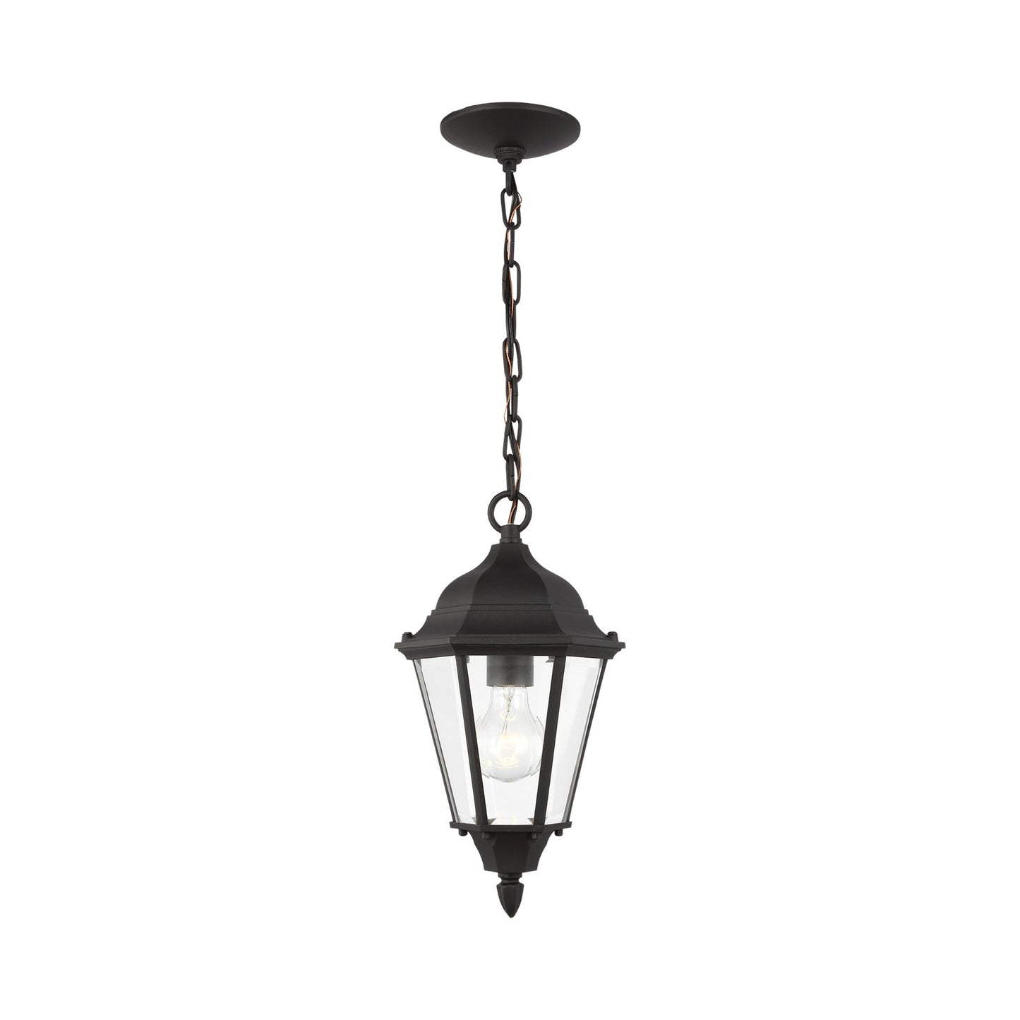 Bakersville Outdoor Pendant Light in Black (Clear Beveled).