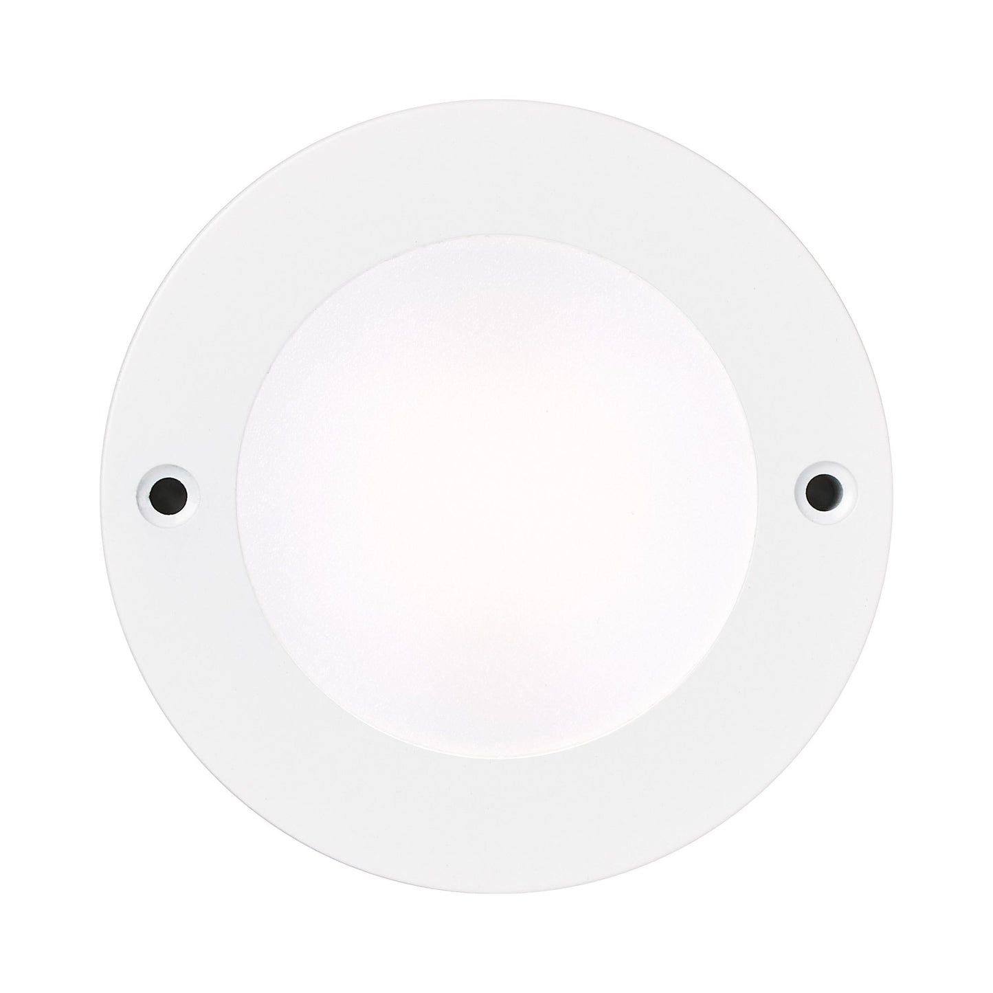 Disk Light 3W 12V 180 lumens 3000K 90 CRI LED Bulb in White.