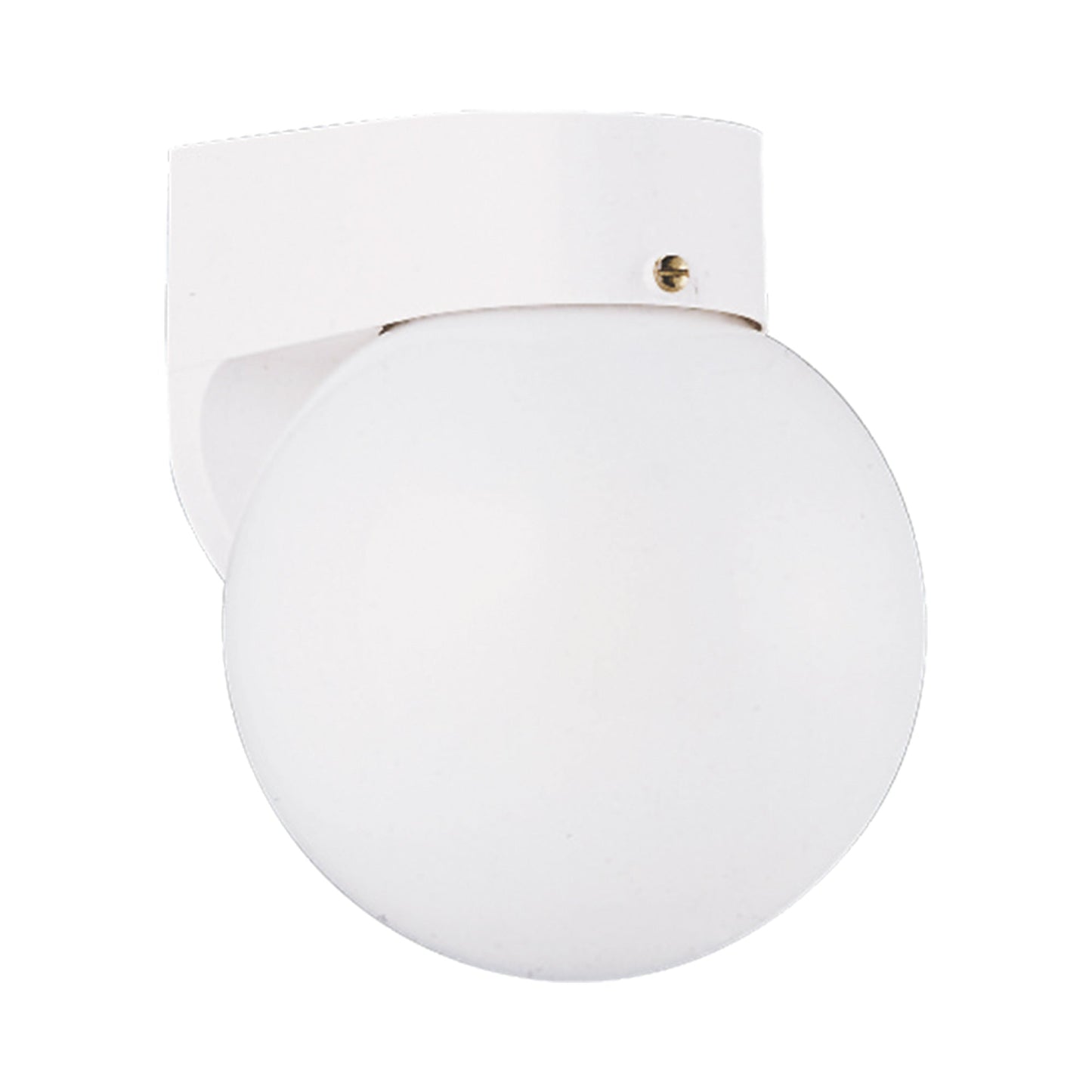 Outdoor Globe Wall Light in White.