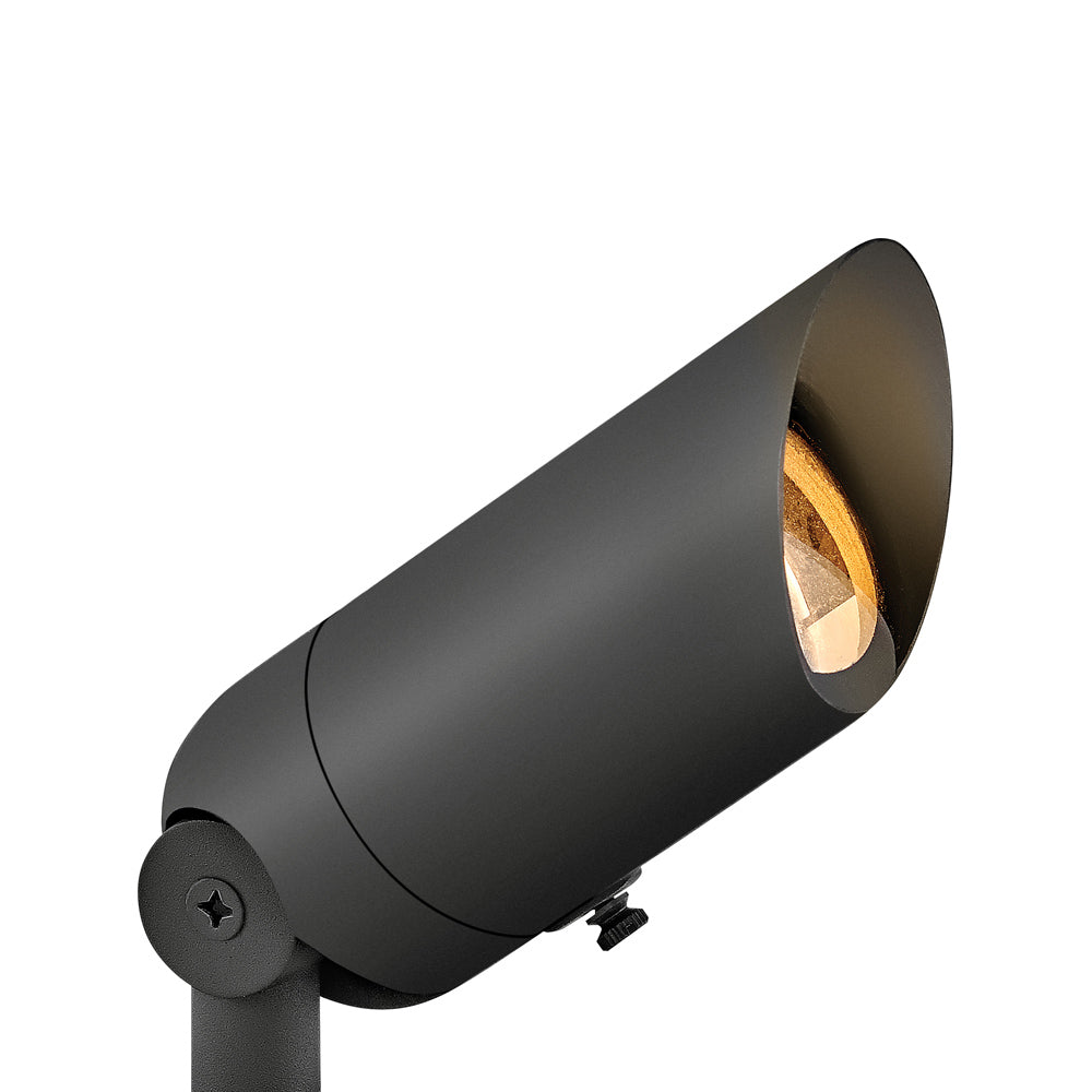 Accent Outdoor LED Spot Light in Satin Black.