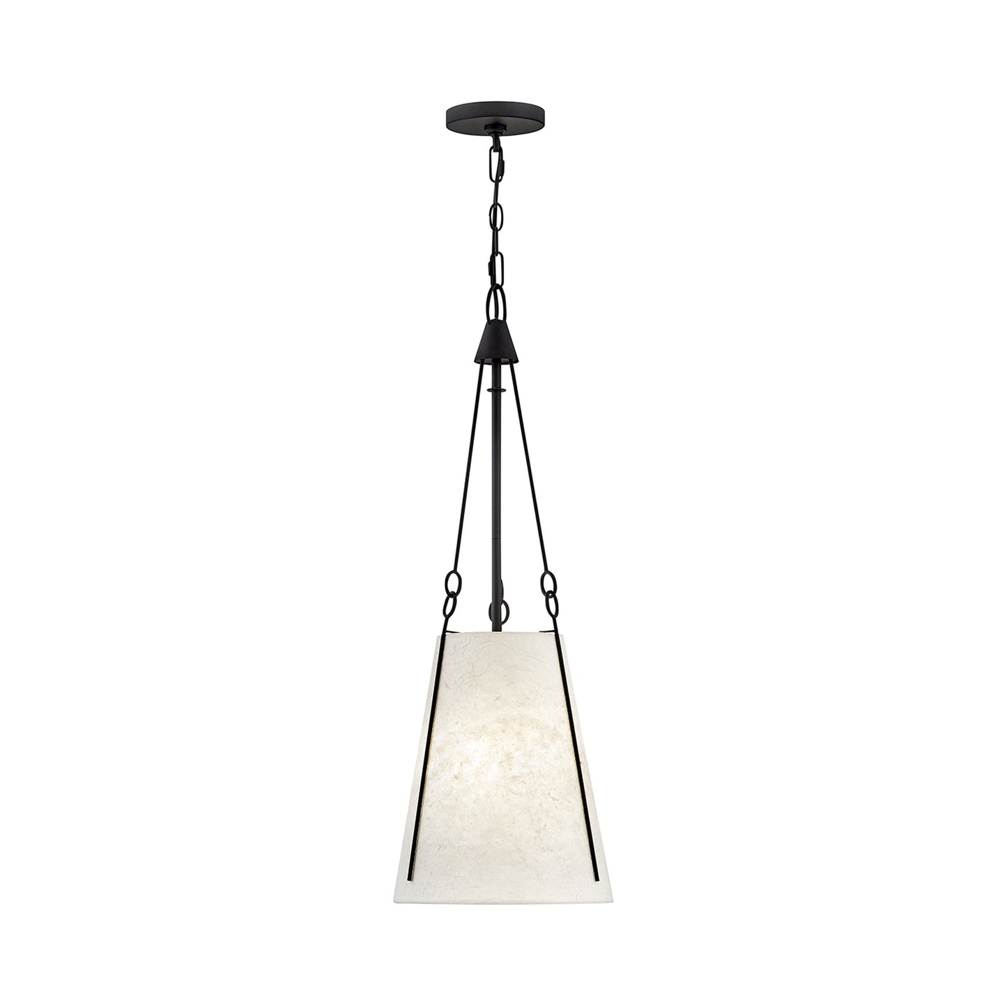 Danvers Pendant Light in Black.