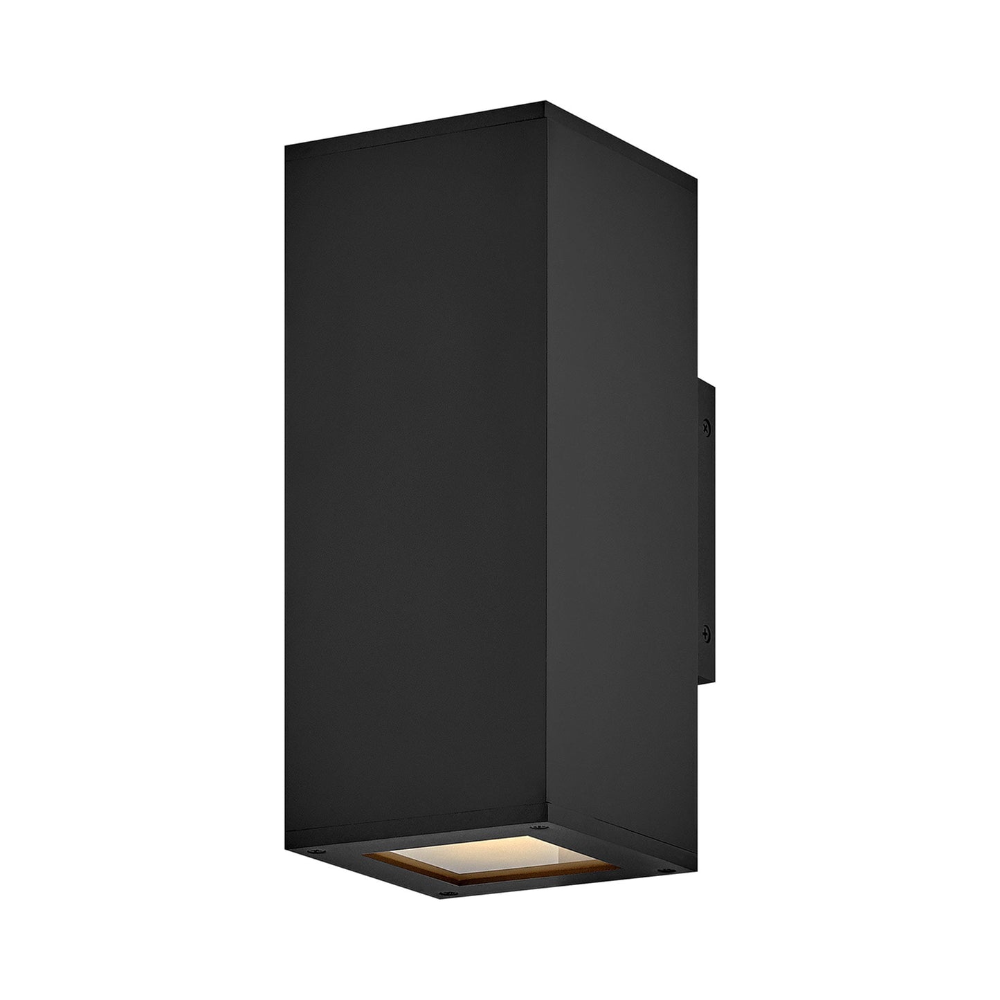 Tetra Outdoor Wall Light in Black (2-Light).
