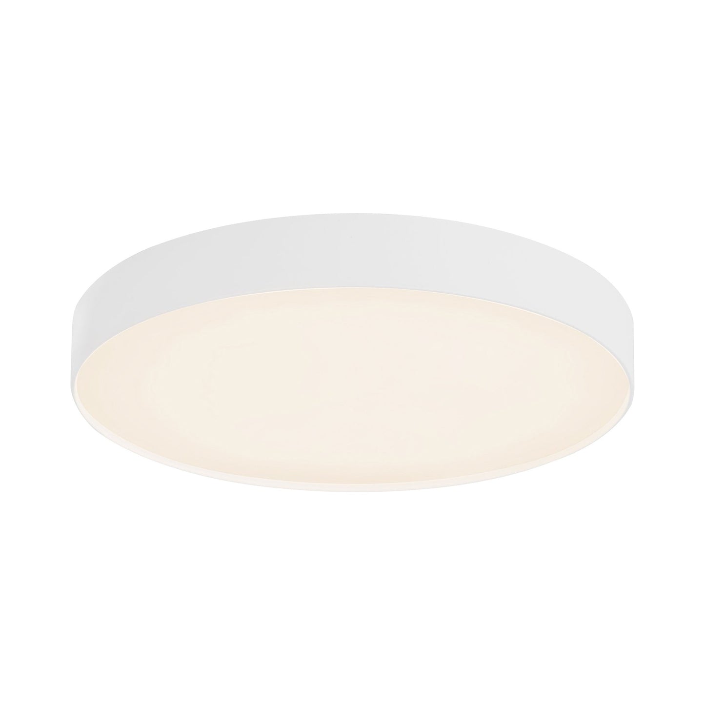 Rynn LED Flush Mount Ceiling Light in White (7.13-Inch).