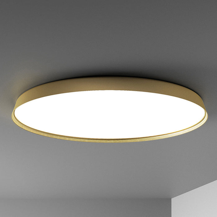 Compendium Ceiling/Wall Light in Brass.