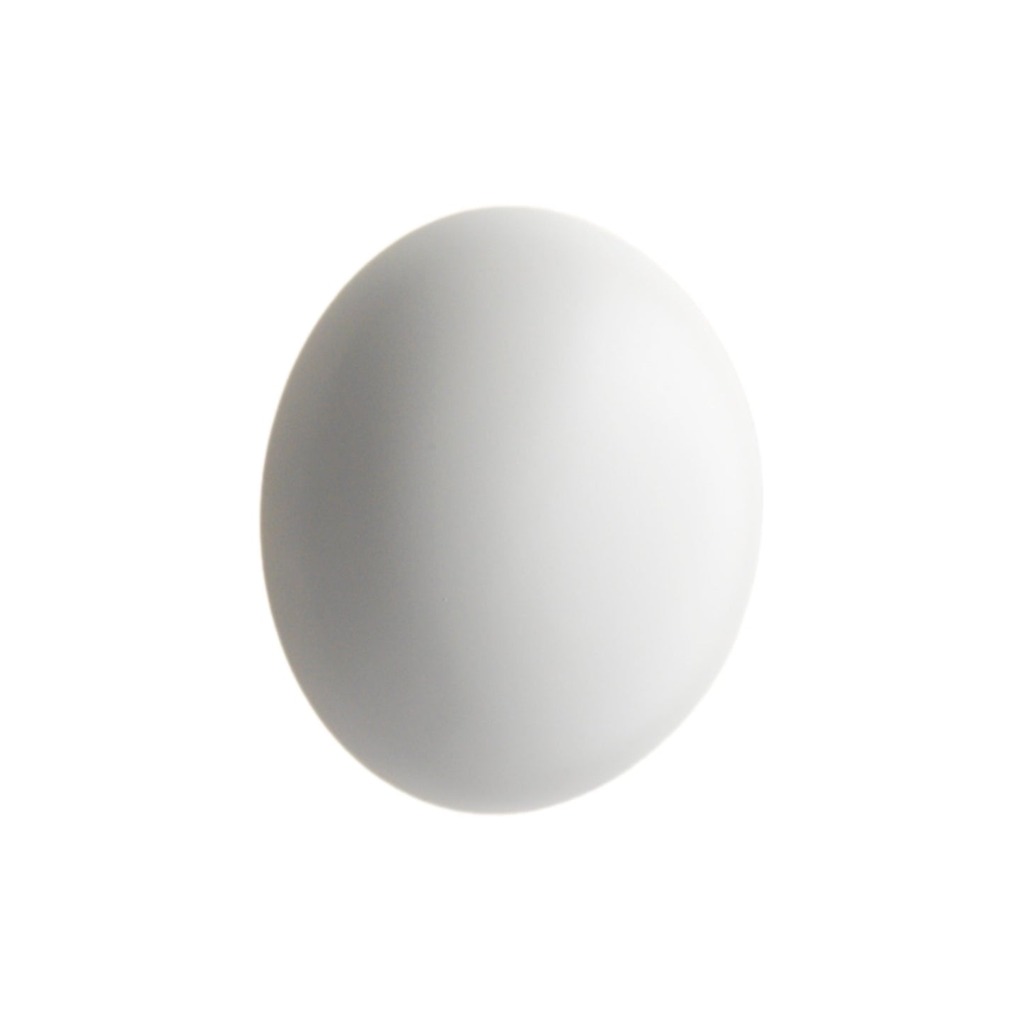 Babila Outdoor LED Wall Light in White (11-Inch).