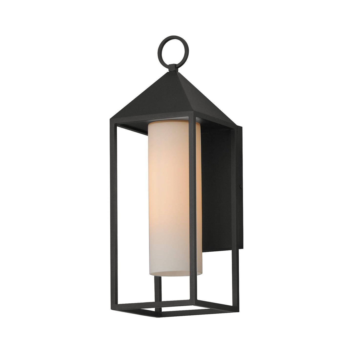 Aldous Outdoor Wall Light (Large).