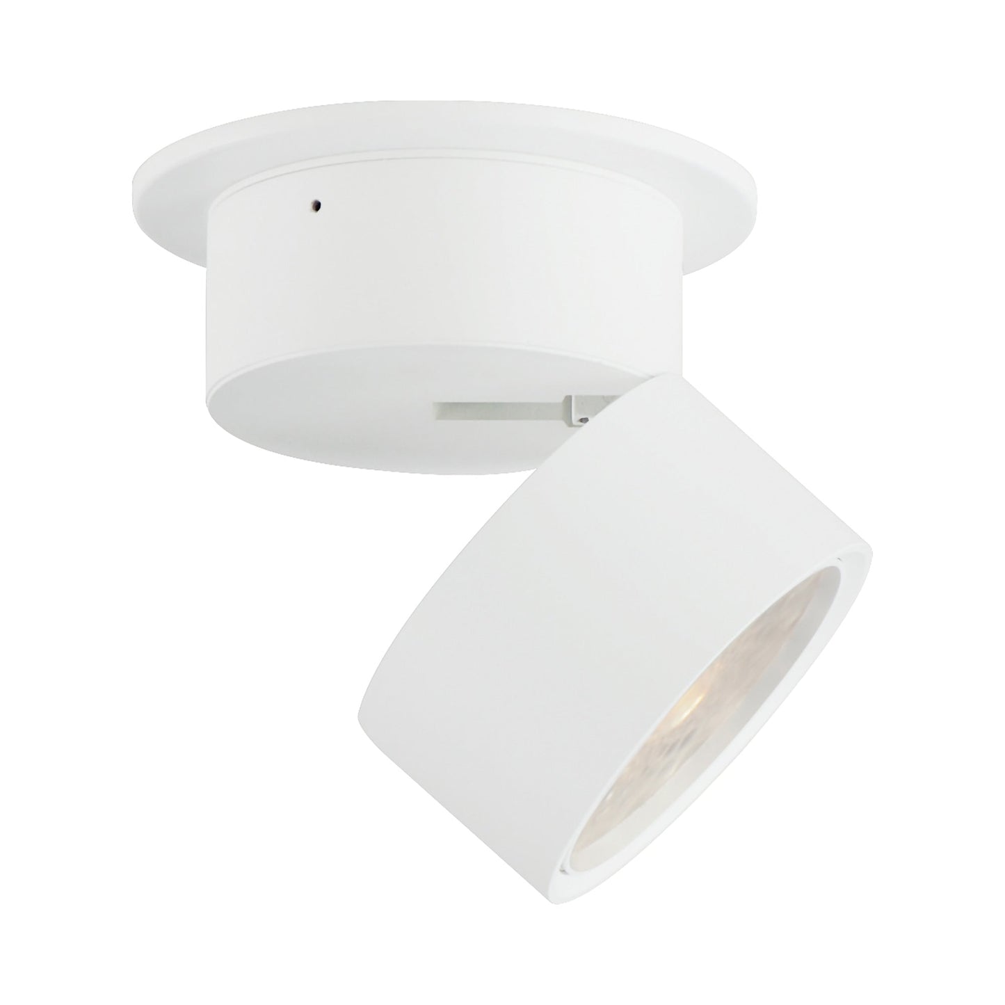Swinger LED Flush Mount Ceiling Light in White (4-Inch).
