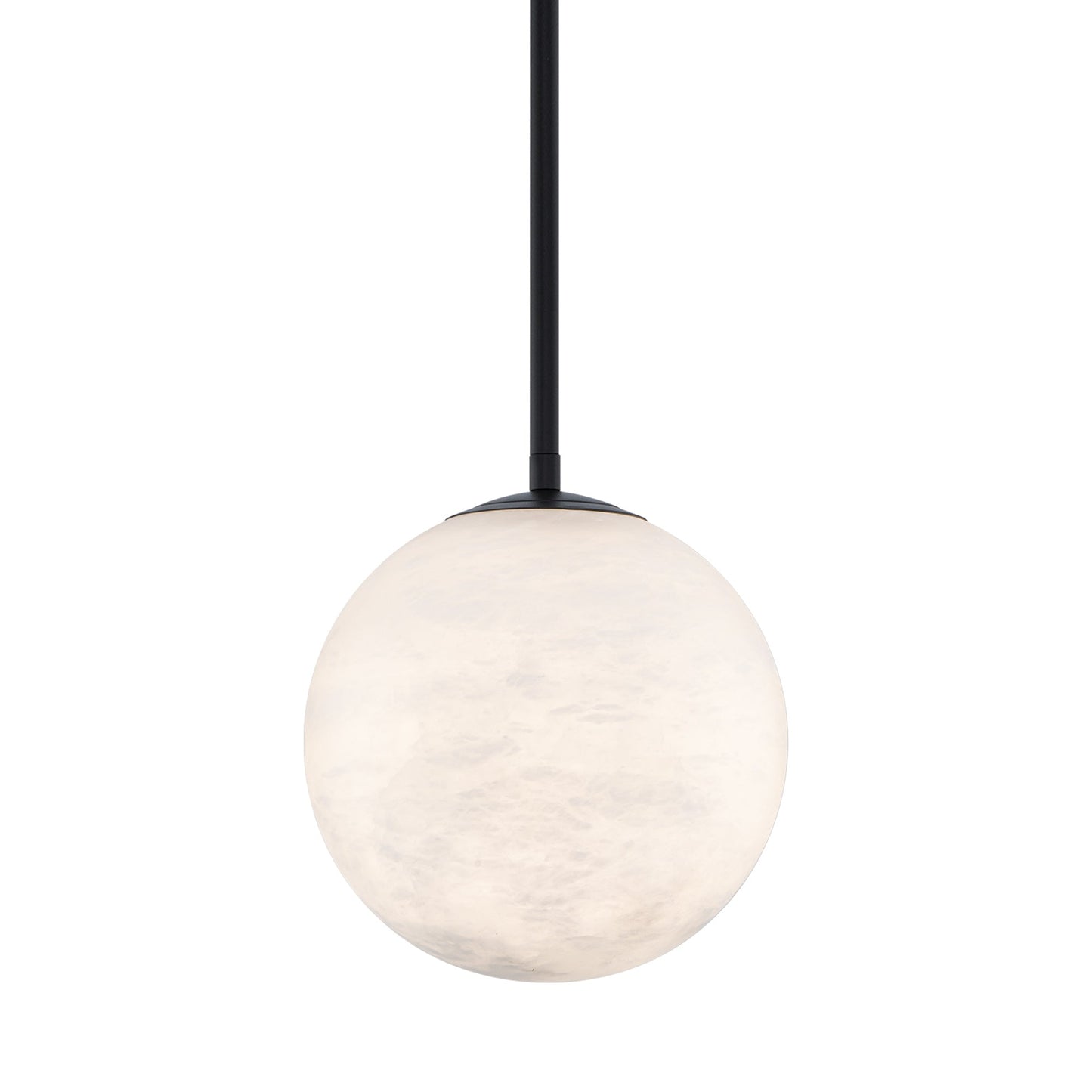 Pisces LED Pendant Light in Black.