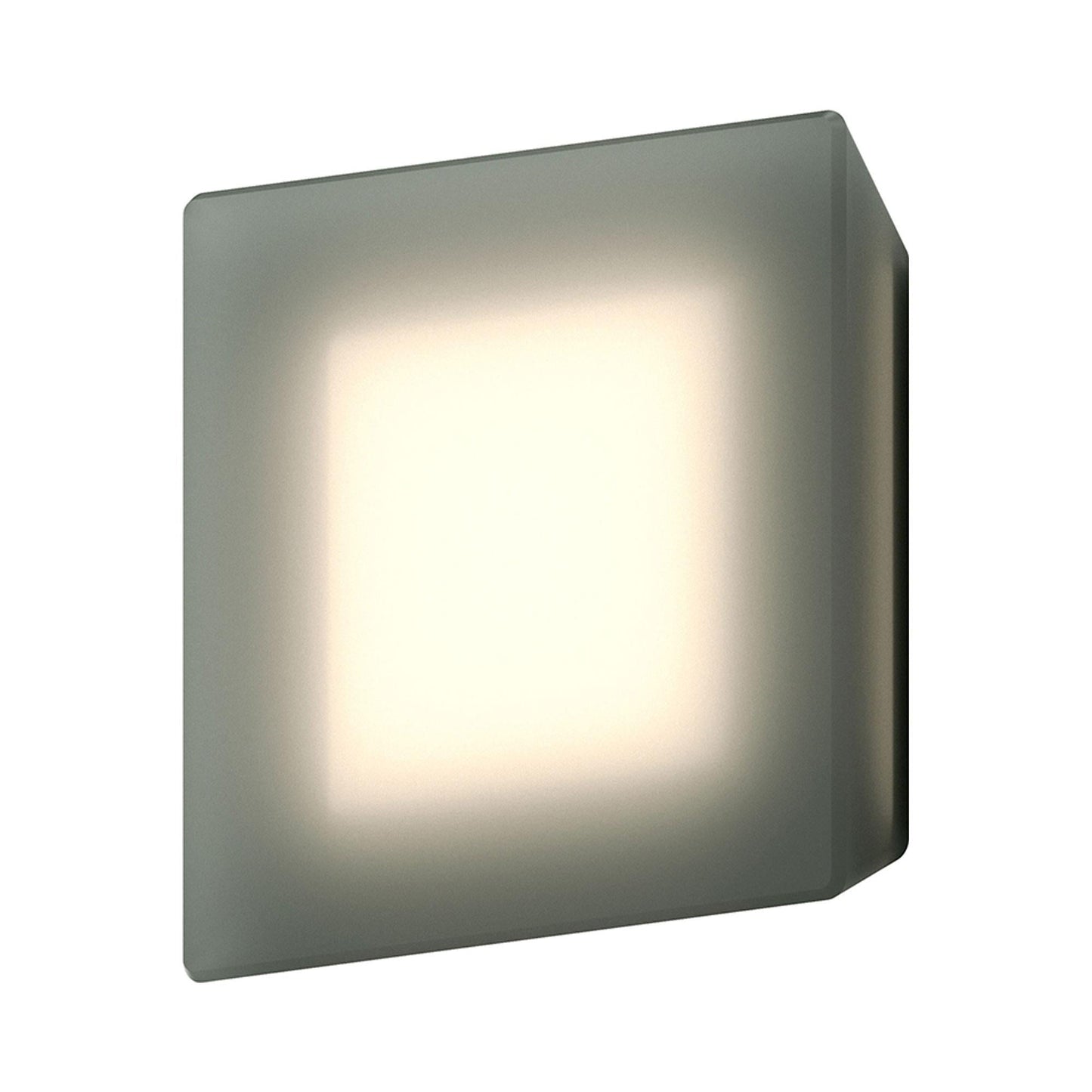 Mist LED Wall Light in Moss Etched Glass.