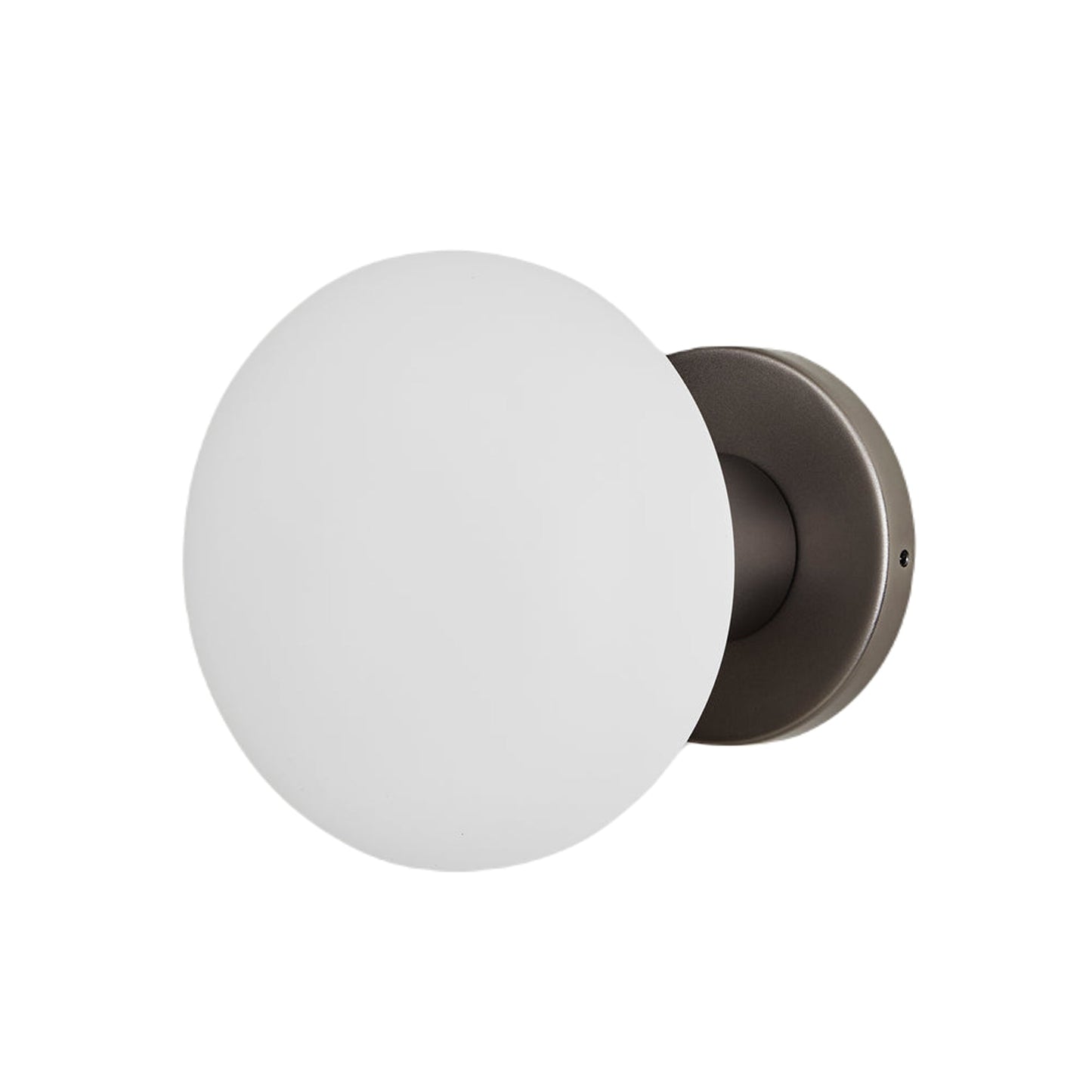 Lochan Oval Outdoor Wall Light in Graphite.