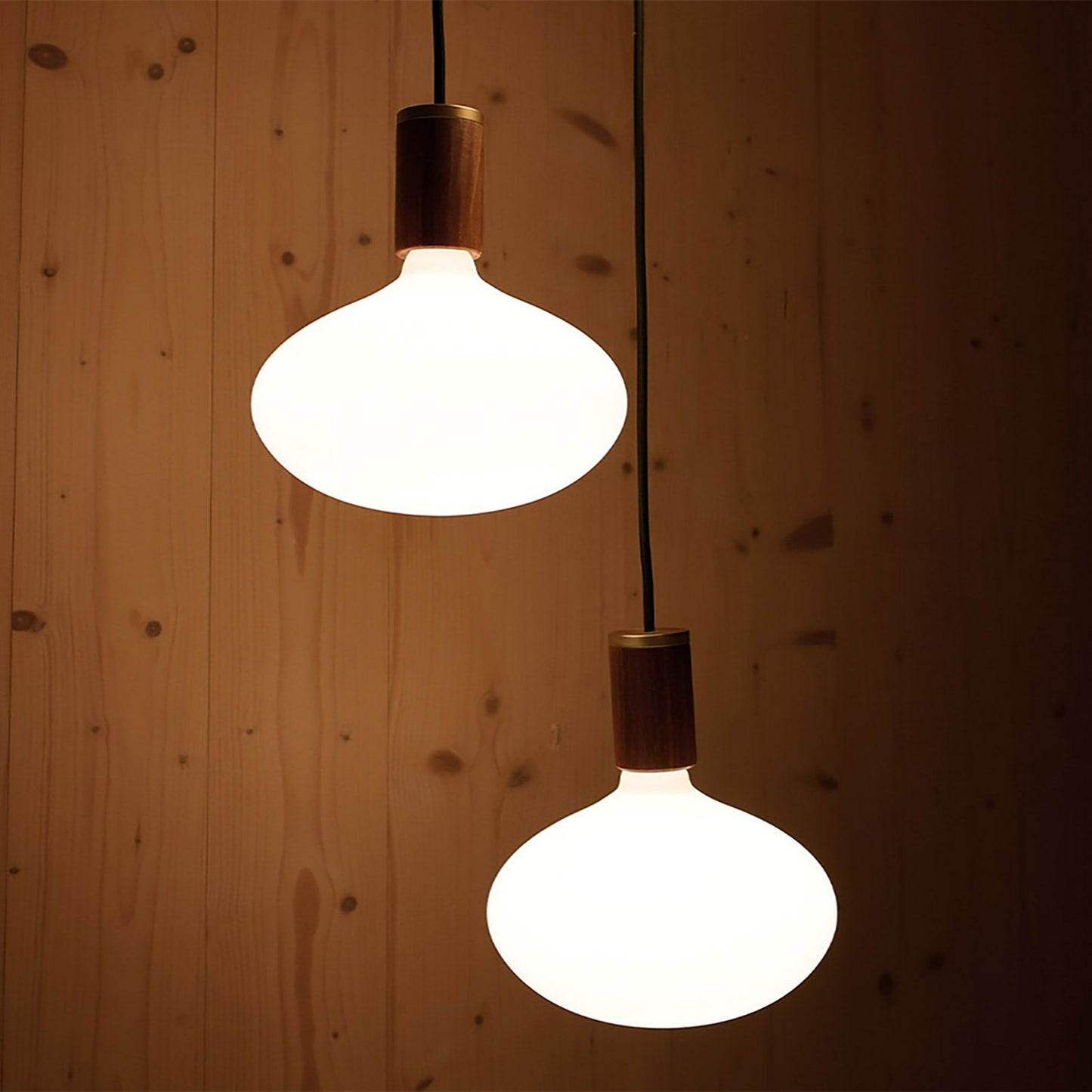 Oval II Medium Base R65 Type LED Bulb in Detail.