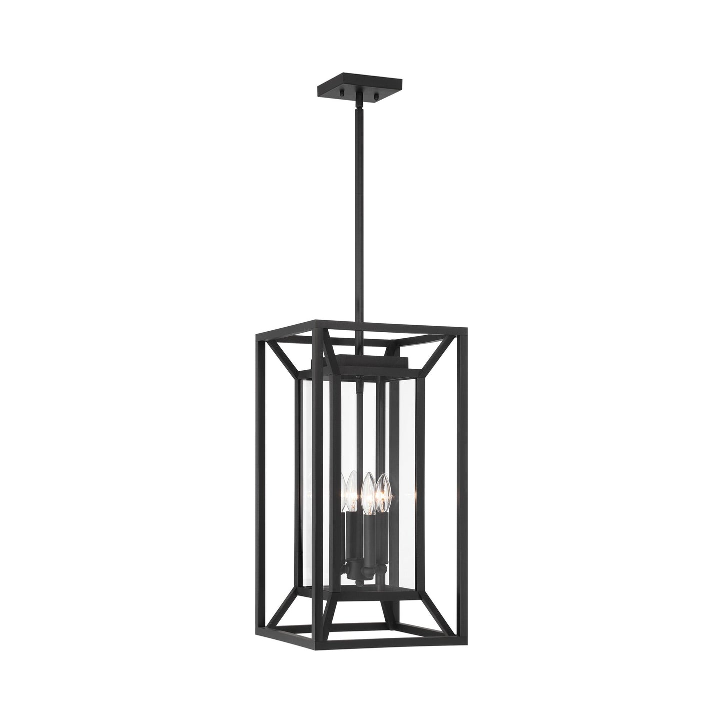 Harbor View Outdoor Pendant Light in Clear Glass.