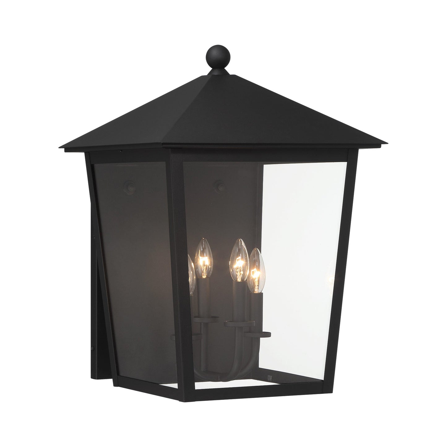 Noble Hill Outdoor Wall Light (22.25-Inch).