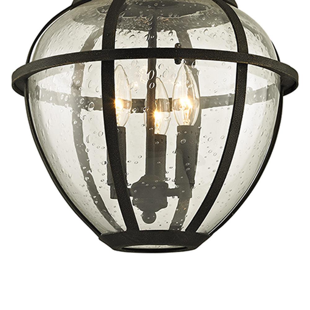 Bunker Hill Outdoor Pendant Light in Detail.