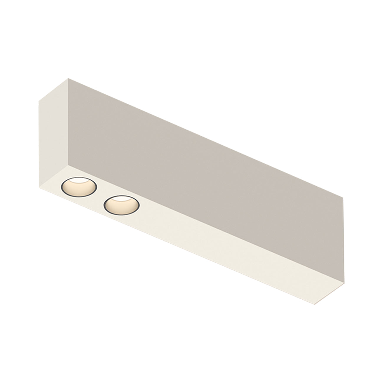 Offset LED Downlight Flush Mount Ceiling Light in Warm White (2-Light).