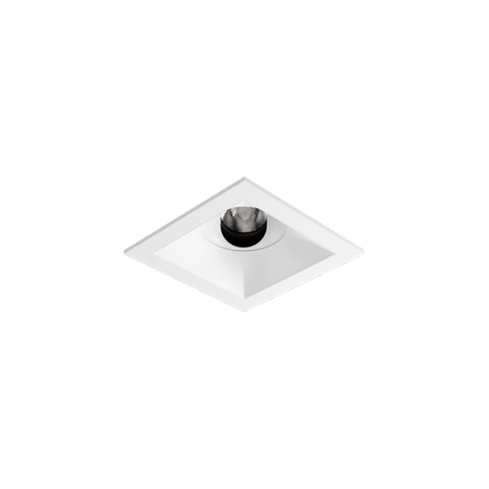 Entra CL 3-Inch LED Adjustable Trim/Module in White (Square/Flanged).