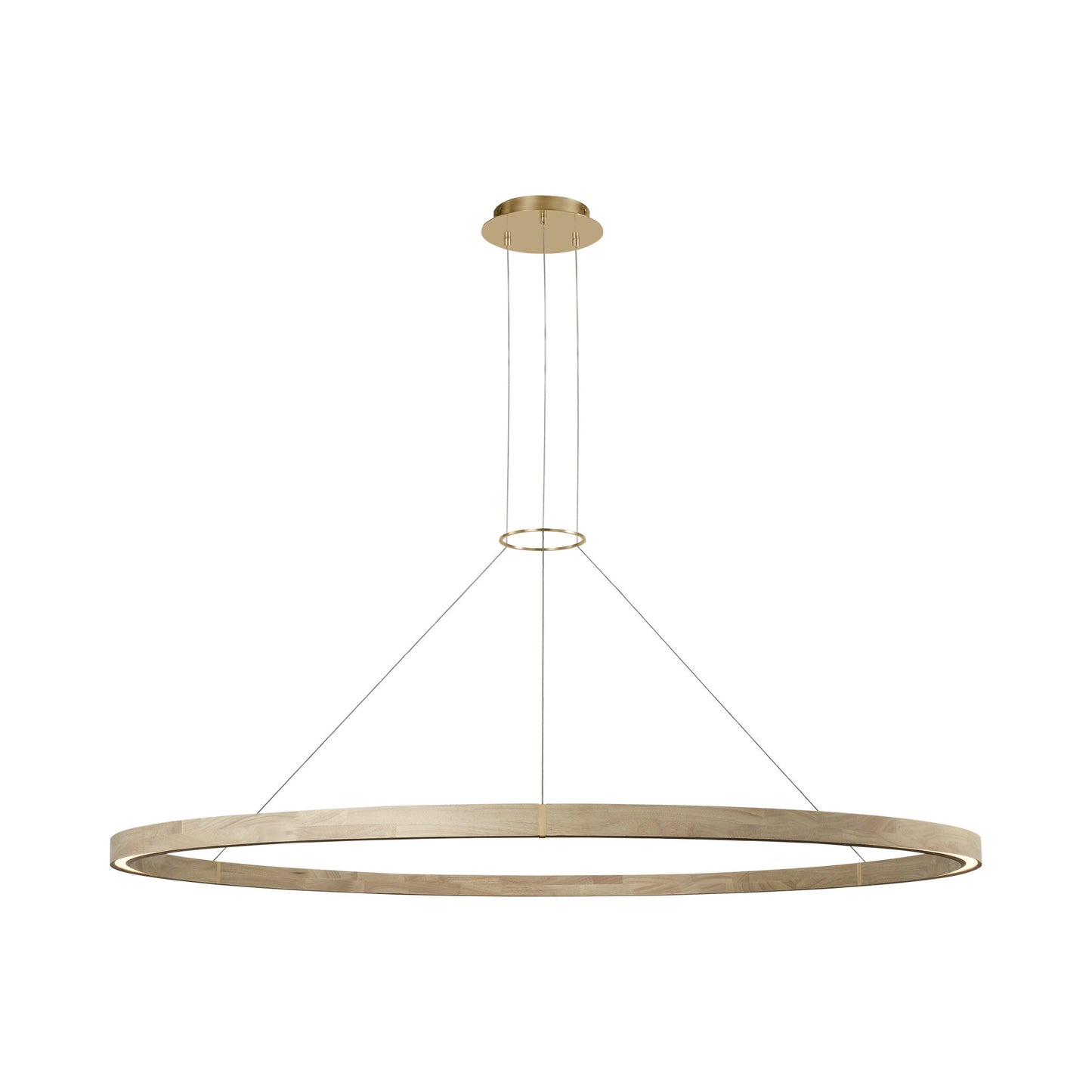 Ashok LED Chandelier (65-Inch).