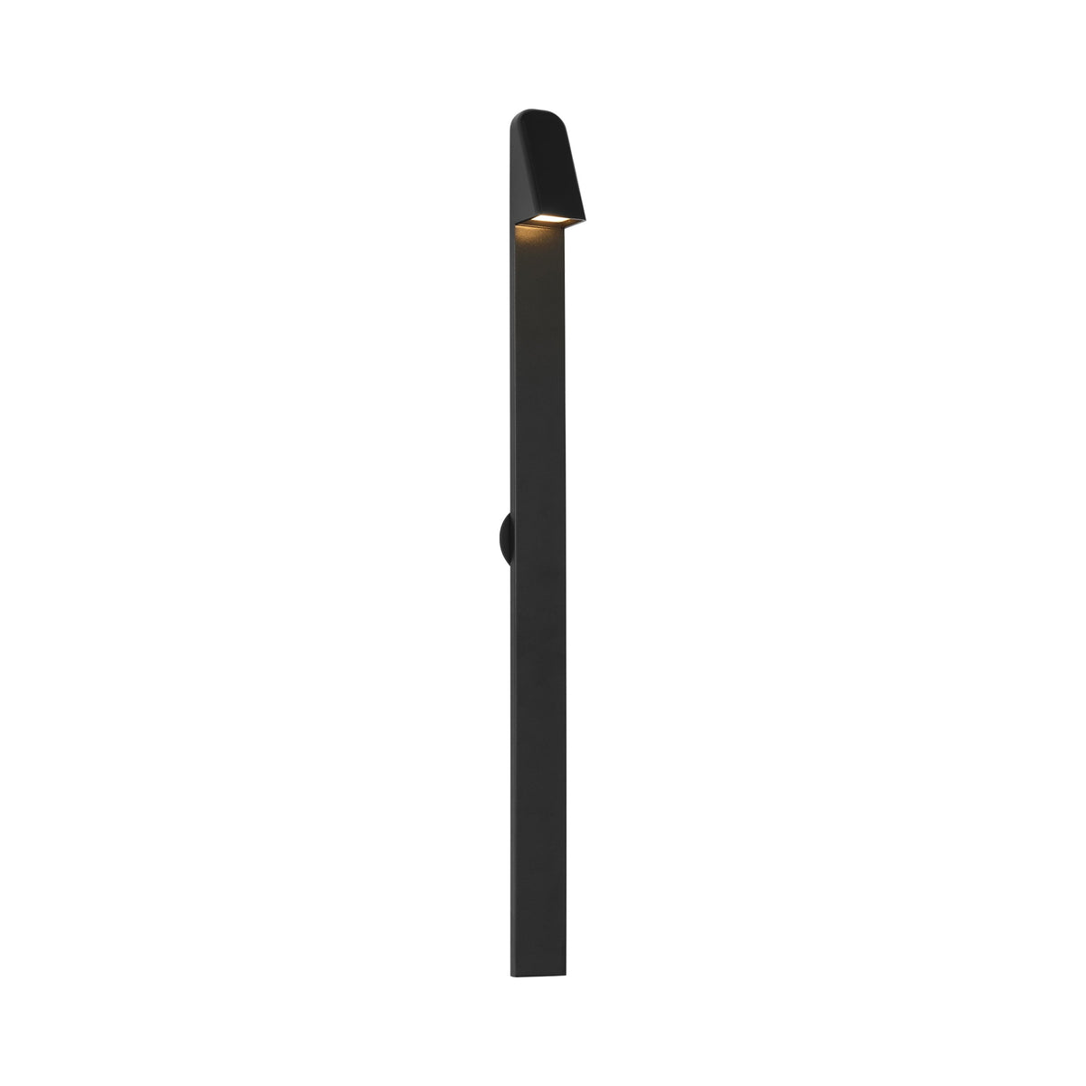 Froler Outdoor LED Wall Light in Outdoor Black (36-Inch).