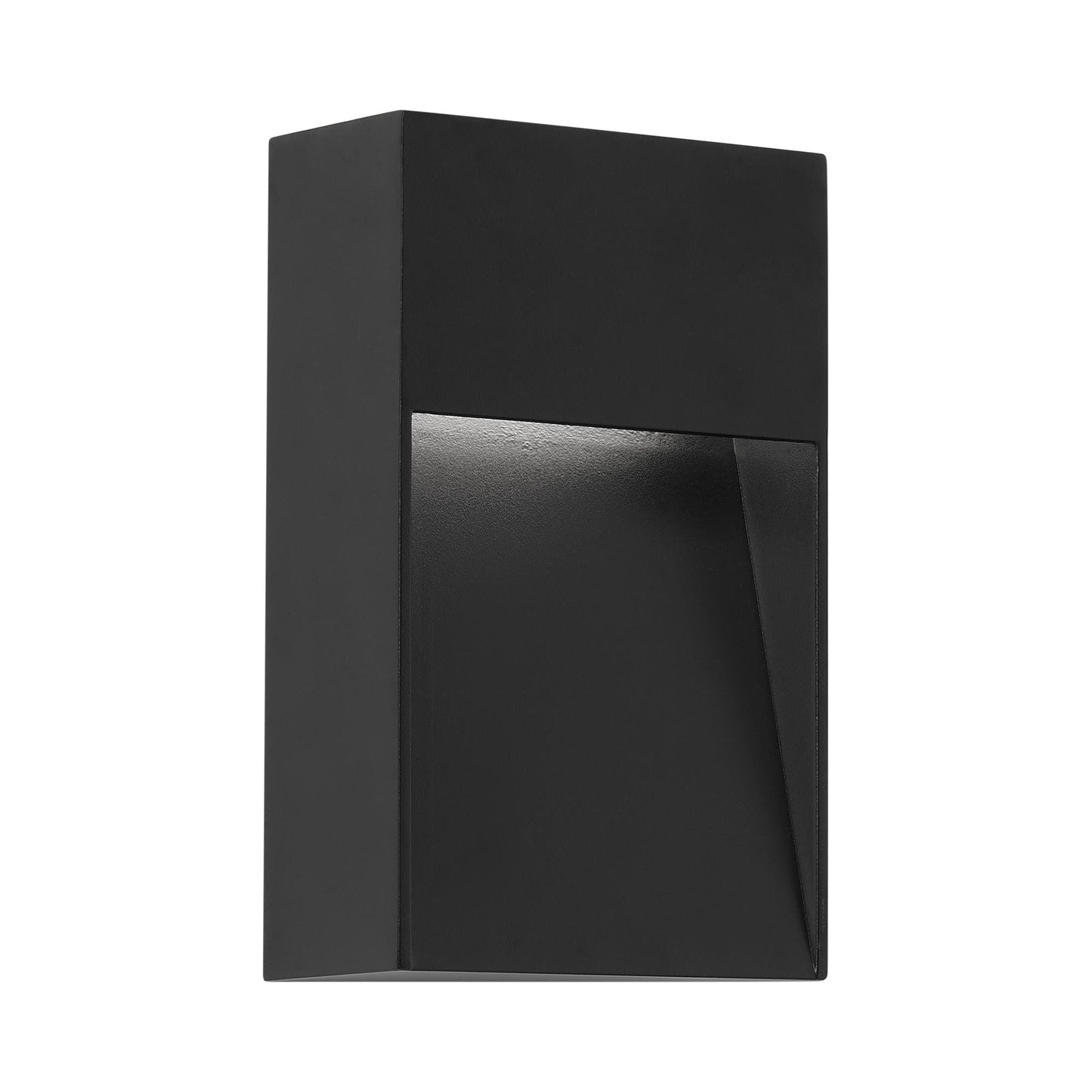 Inga Outdoor LED Wall Light (8-Inch).