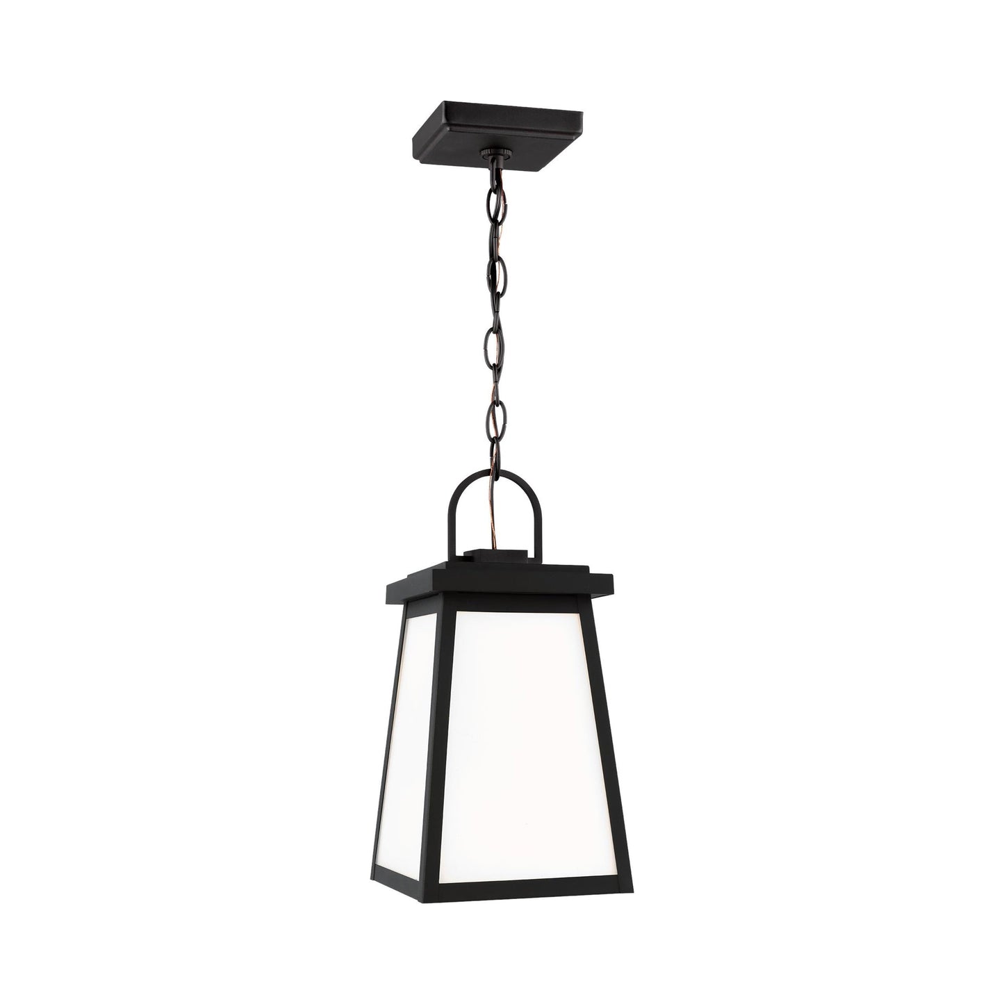 Founders Outdoor Pendant Light in Black (LED Bulb).