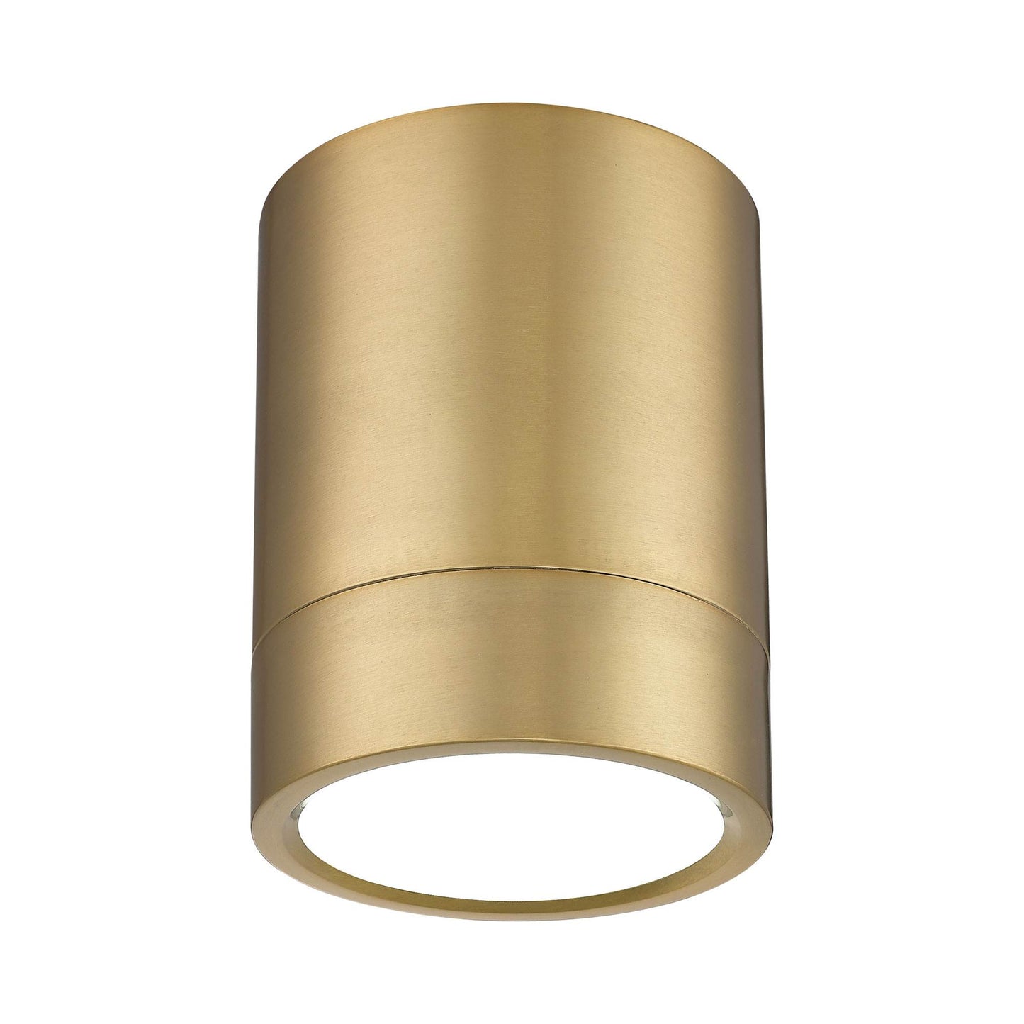 Algar LED Cylinder Flush Mount Ceiling Light in Modern Gold.
