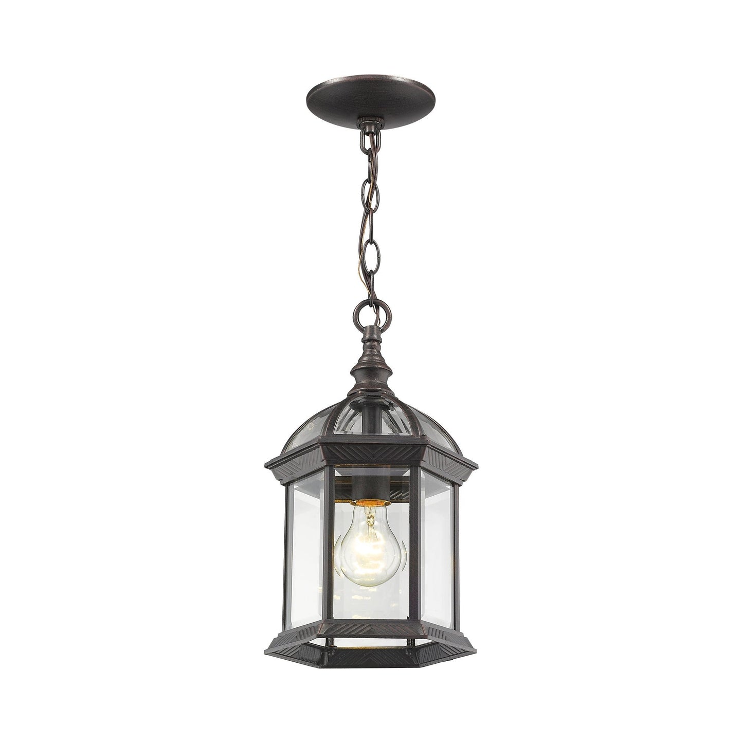 Annex Outdoor Pendant Light in Rust.