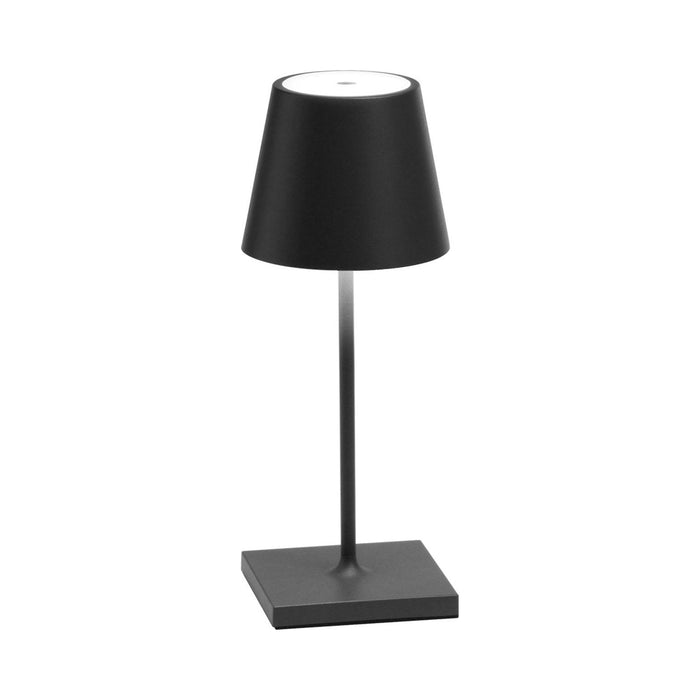 Poldina Pro Mini LED Table Lamp in Dark Grey.