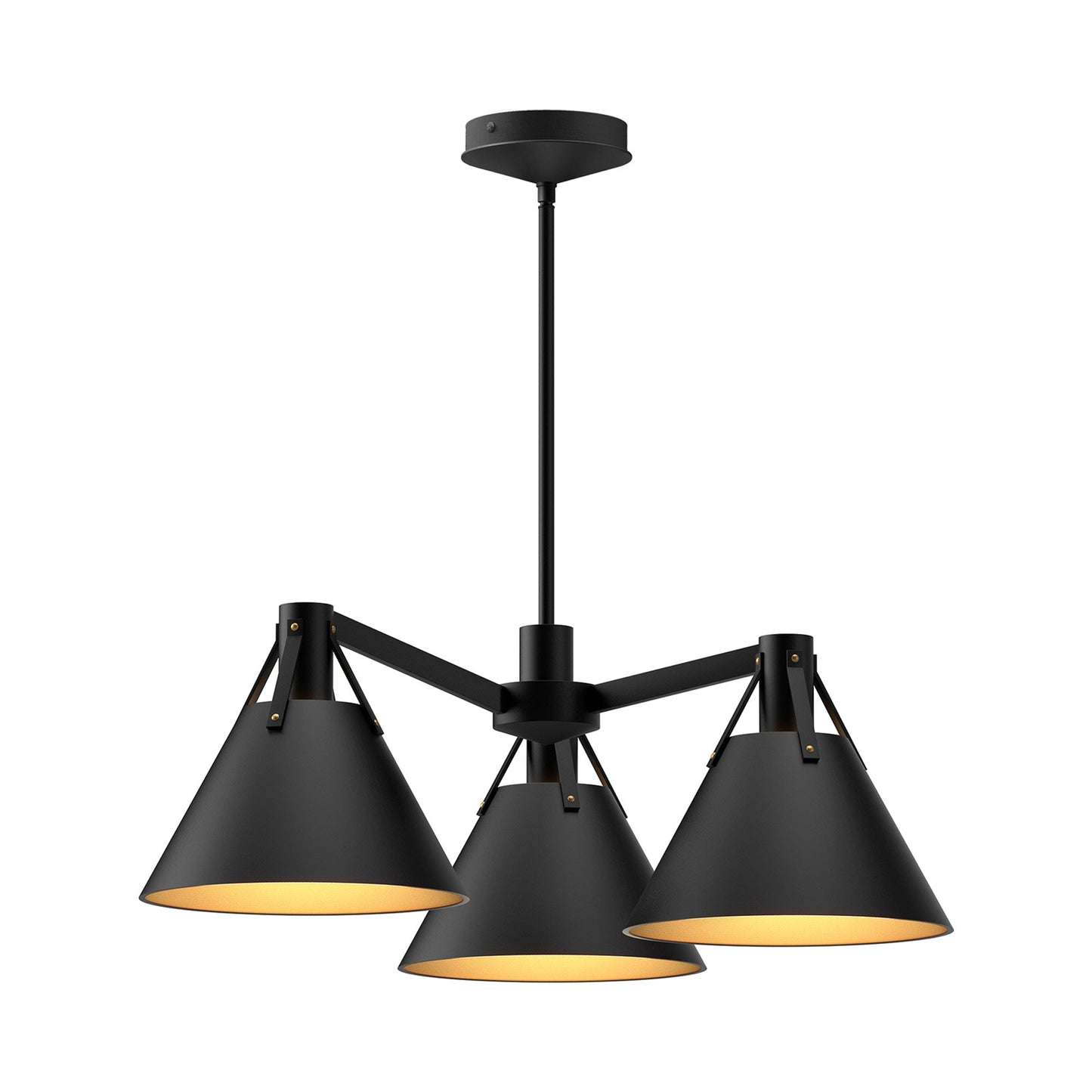 Archer Chandelier in Matte Black.