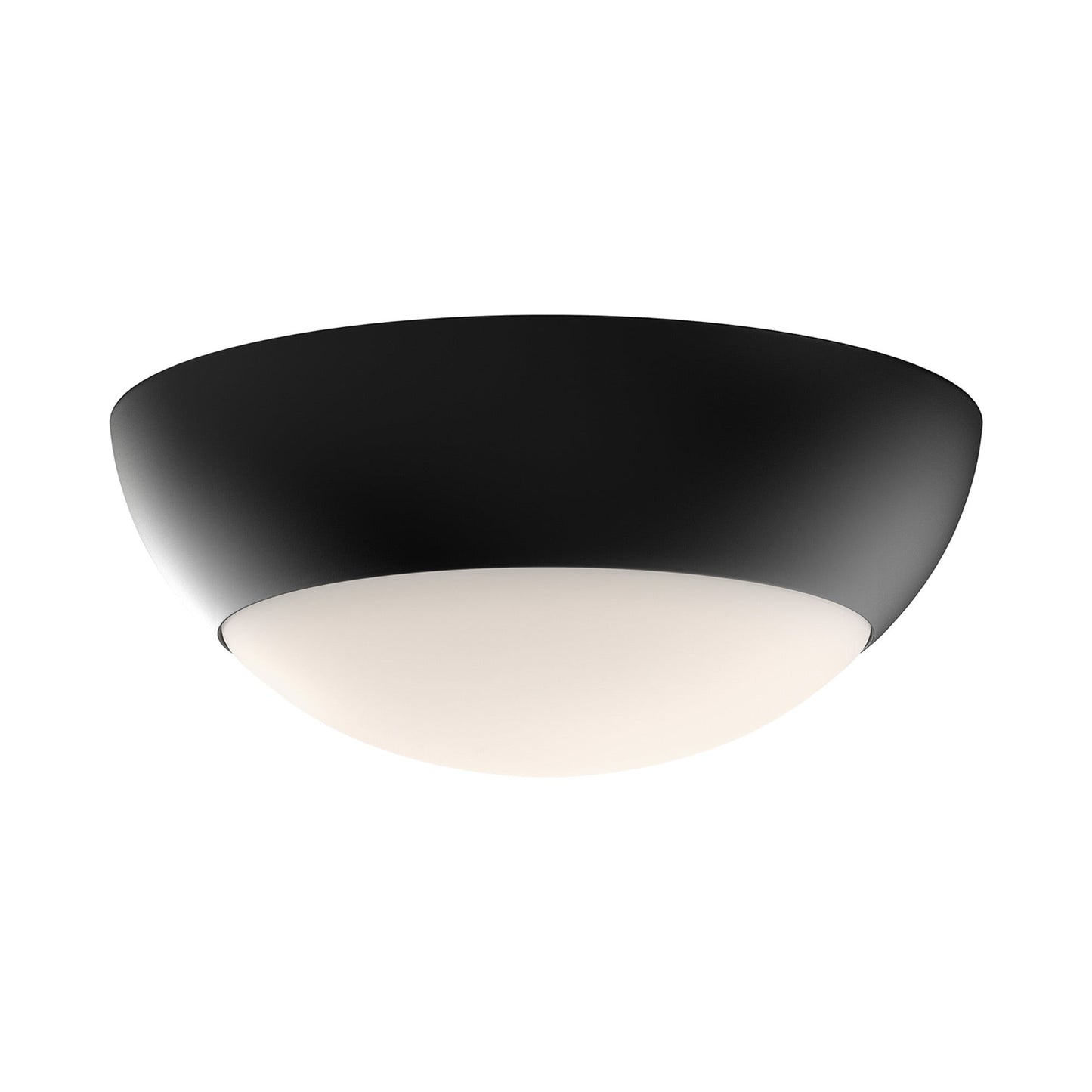 Rubio 2-Light Flush Mount Ceiling Light in Matte Black.
