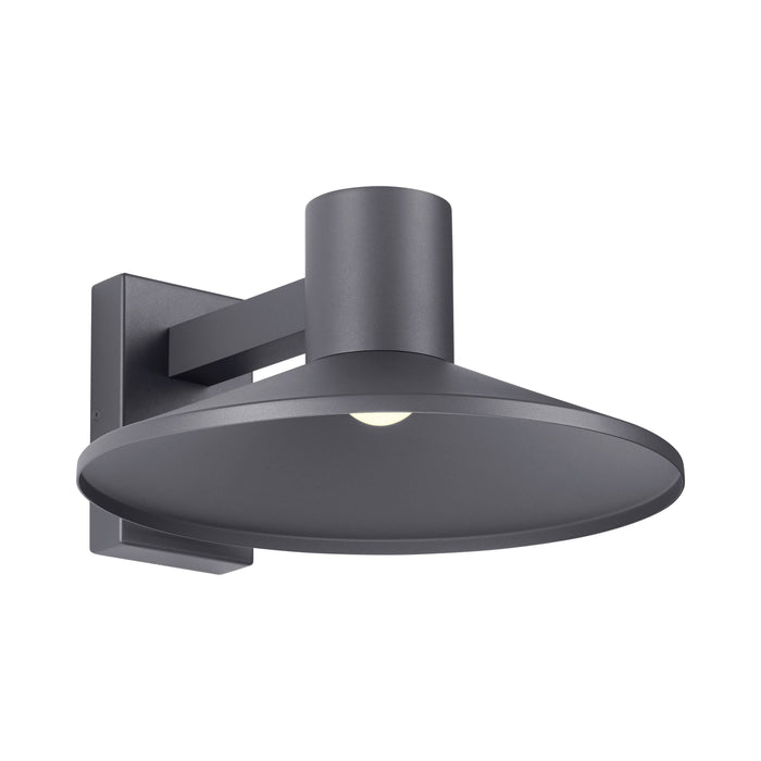 Ash Outdoor LED Wall Light in Charcoal (16-Inch).