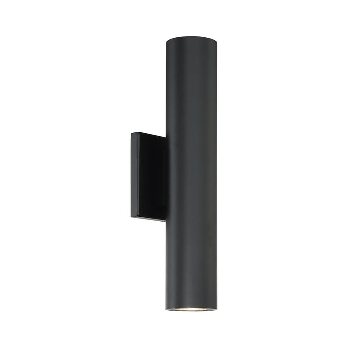 Caliber Indoor/Outdoor LED Wall Light in Black (Large).