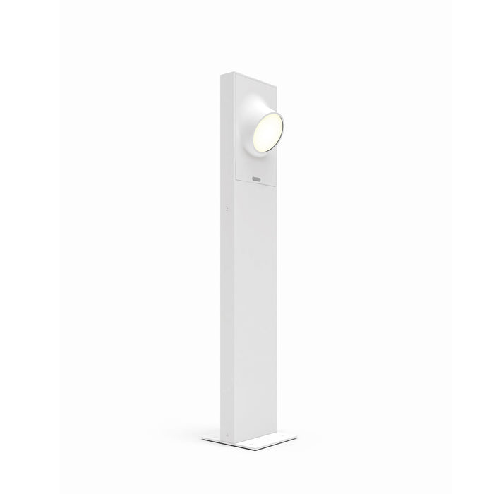 Ciclope Outdoor LED Path Light in White Ral9002 in Large (1-Light).